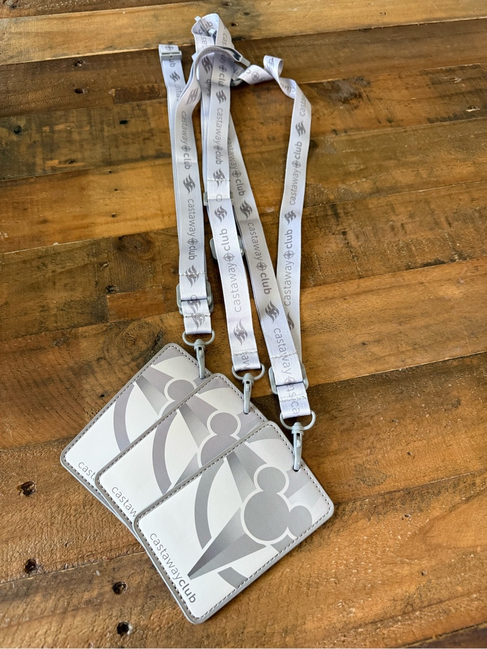 Castaway Club Silver Gray Lanyard Card Holder - Set of 3